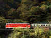 DD5303.jpg (46460 �o�C�g)