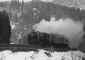 d511.jpg (36087 �o�C�g)